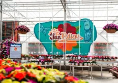 Lastly, they experienced the 2000s to the present with neon blow-up couches and bright colors to walk visitors through Cut Flower, SunPatiens® (featured in this picture), and Sakata's new Varieties, see next slide -->
